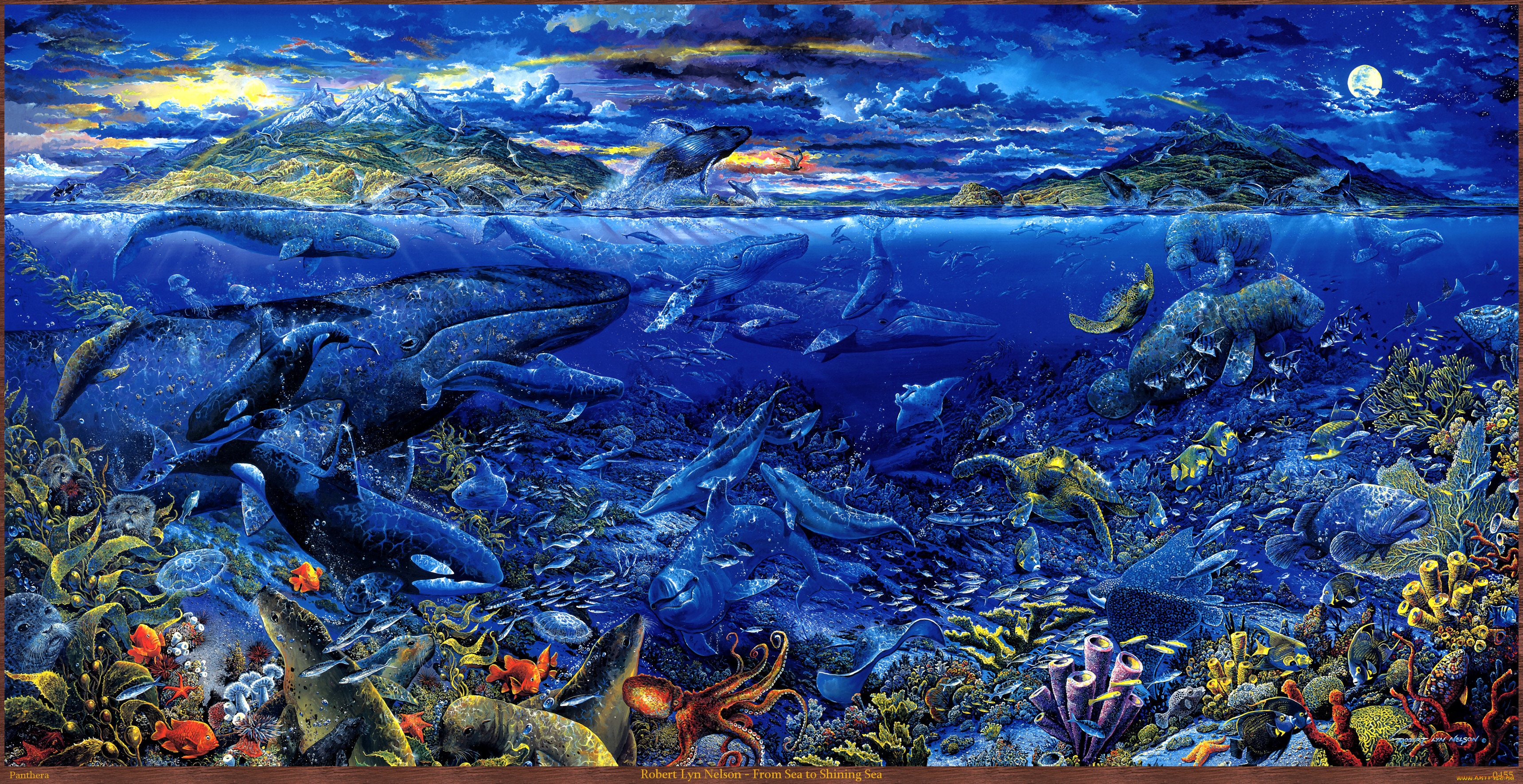 Мир морских глубин. Морские глубины. Подводный пейзаж. Дно океана. Обитатели морей и океанов.